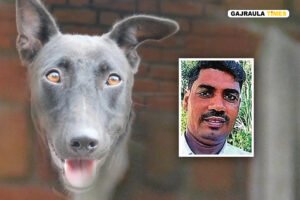 hasanpur news rabies case death